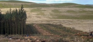 ACM Environmental Contracting