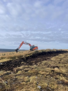 Habitat Restoration